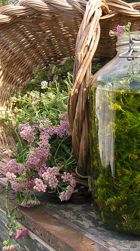 Erboristeria Padova | Naturalmente | Erboristeria e Parafarmacia | Padova